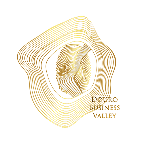 Douro Business Valley Rui DaCruz